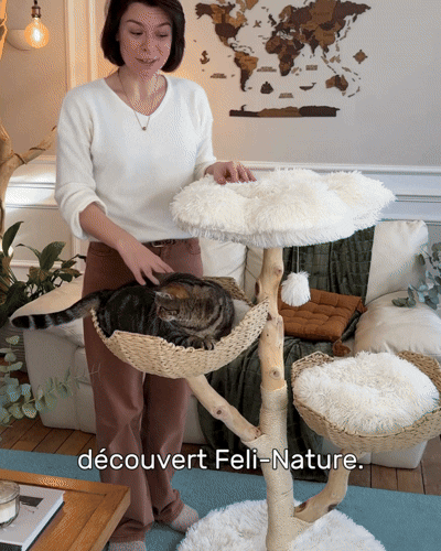 L'alliance
du beau
et de l'utile