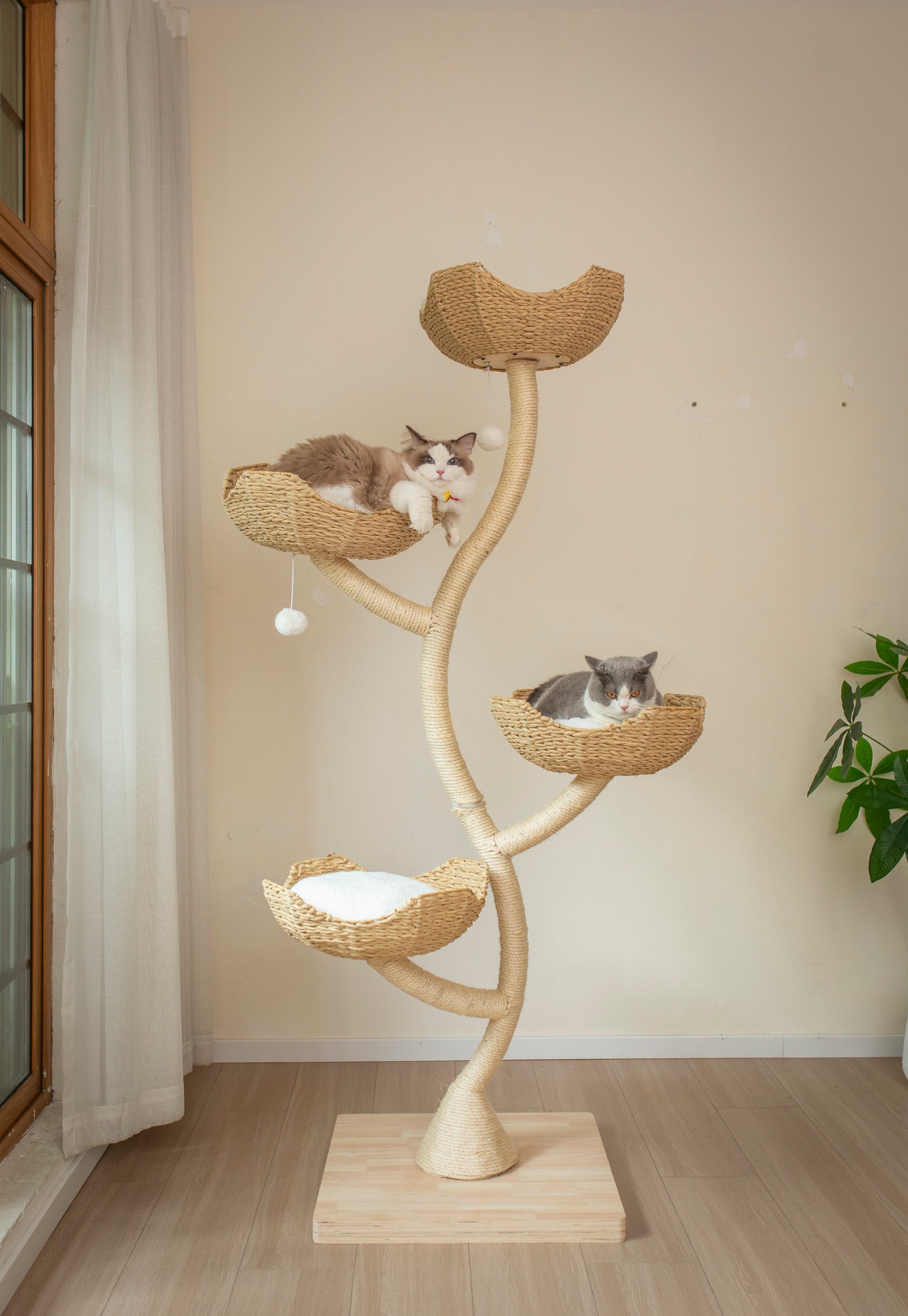 L'Arbre à Chat Design Eclipse de FéliNature, 4 niveaux (183 cm), comprend quatre paniers tressés - dont deux avec des chats - et est placé dans une pièce avec un sol en bois clair, une plante et une fenêtre avec des rideaux blancs.