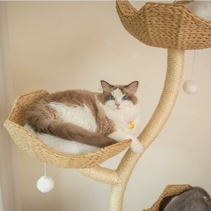 Un chat à poils longs et duveteux, à la fourrure blanche et marron clair, se détend dans un panier sur l'Arbre à Chat Design Eclipse de FéliNature. L'élégant arbre à chat à 4 niveaux (183 cm) comporte des jouets à pompon et une médaille dorée est accrochée au collier du chat.
