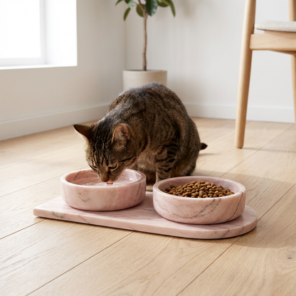 Élégance Naturelle | Ensemble Gamelles en Marbre pour Chat | Design Sculptural Moderne I FÉLINATURE