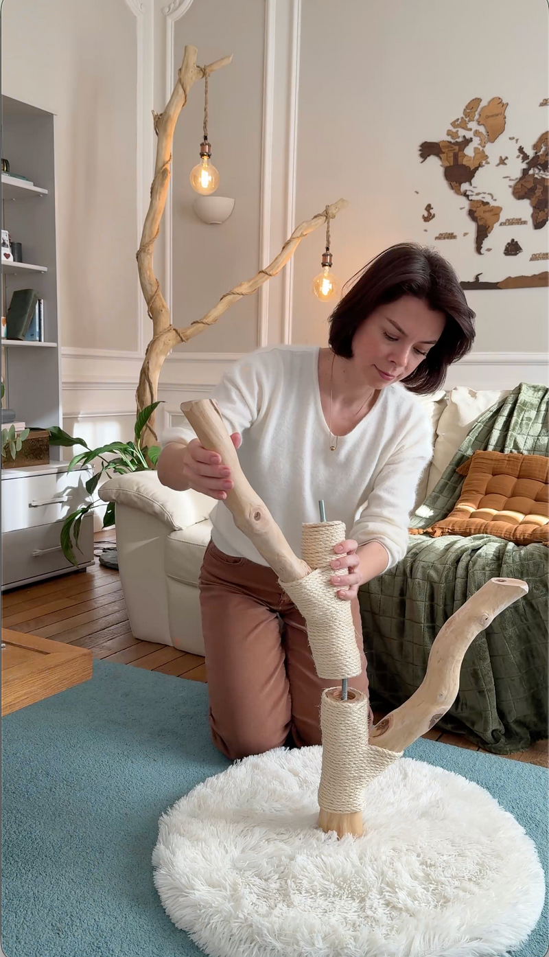 Ajoutez les branches