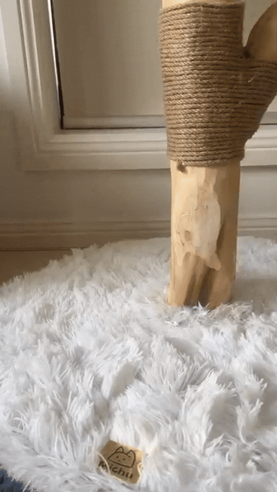 Arbre à Chat en Bois Massif | Design Compact et Moderne 140 cm | Canopée | FéliNature.