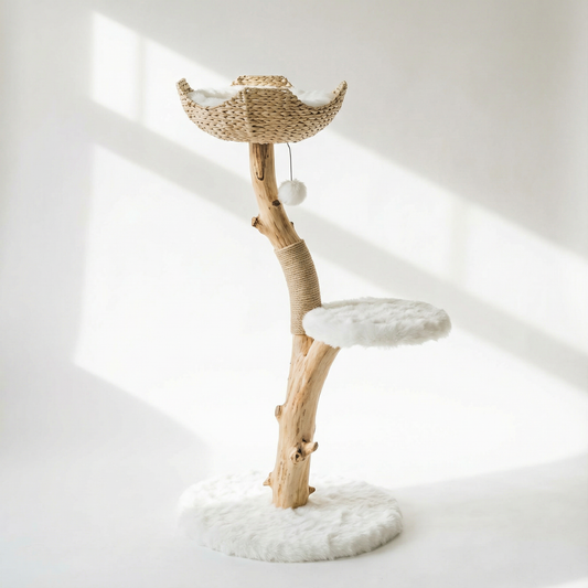 Arbre à Chat en Bois Véritable Naturel | Petit & Design | Sylva | FéliNature.