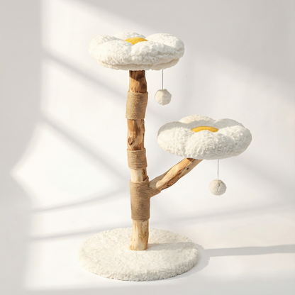 Arbre à Chat en Bois Naturel | Élégance et Confort pour Petits Félins | Numa | FéliNature.