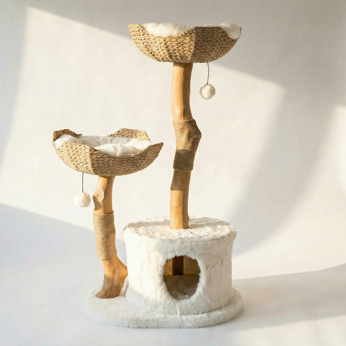 Arbre à Chat Bois | Zénith - FéliNature