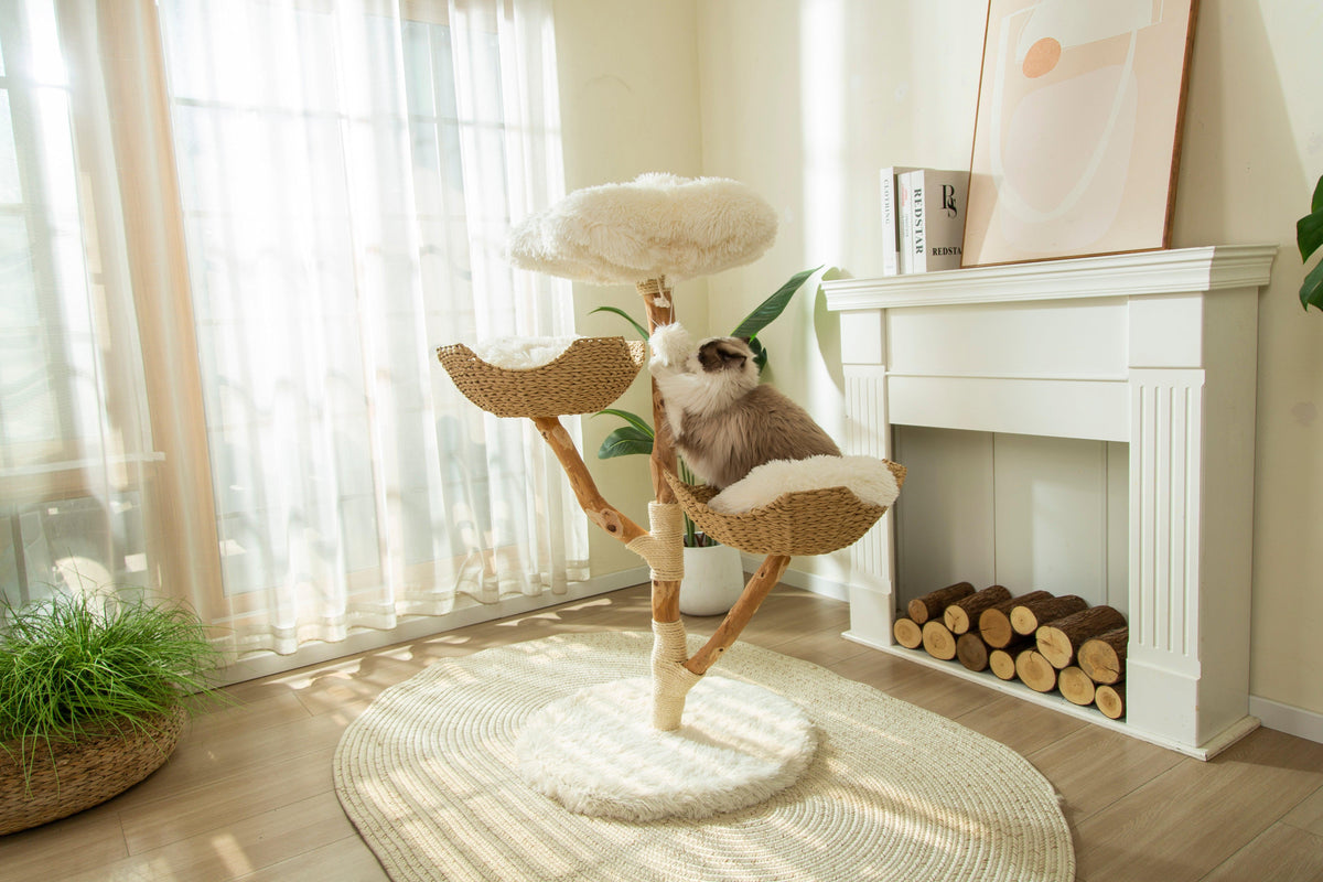 Arbre à Chat en Bois Massif | Design Naturel et Moderne 113cm | Natura | FéliNature.
