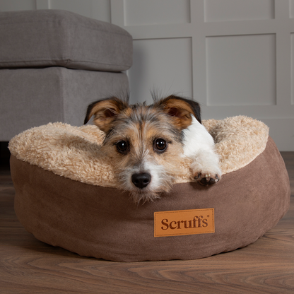 Panier rond pour chat Scruffs, Ø 45 cm