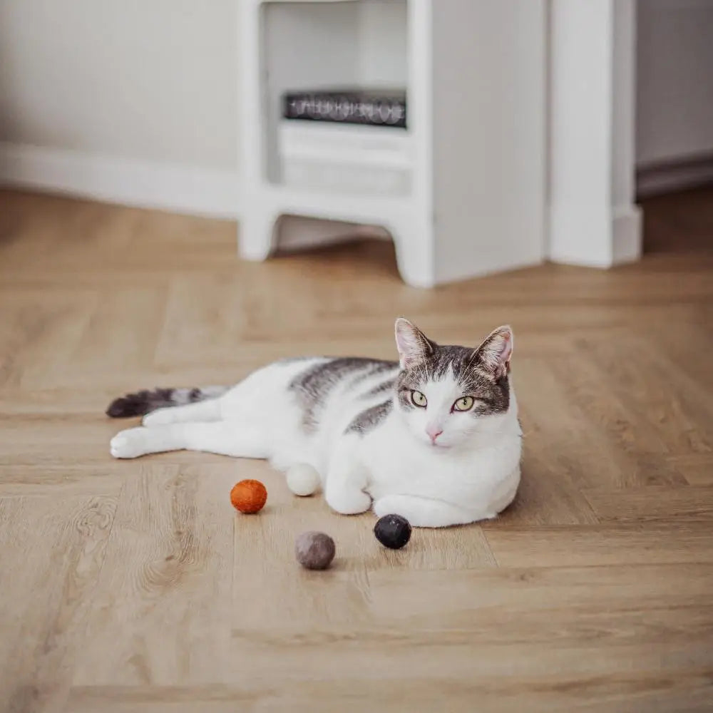 Balles en feutre de laine District 70 pour chat d'intérieur
