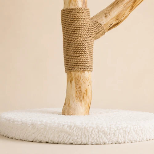 Arbre à Chat Bois | Numa