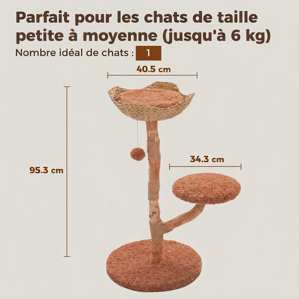 Arbre à chat en bois L'Orée