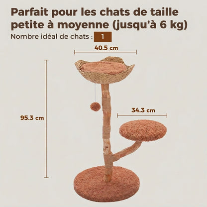 Arbre à chat en bois L'Orée
