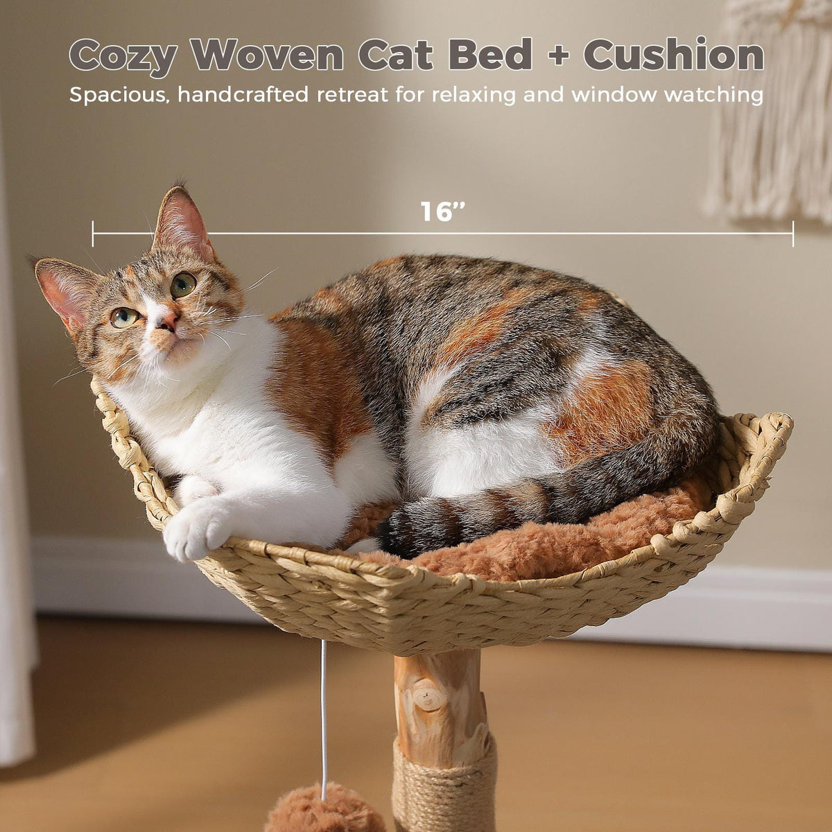 Arbre à chat en bois L'Orée