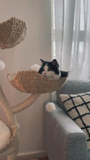 Arbre à Chat 3 Niveaux 135 cm | Fortis | Design Moderne pour Chats [Dispo en Janvier].