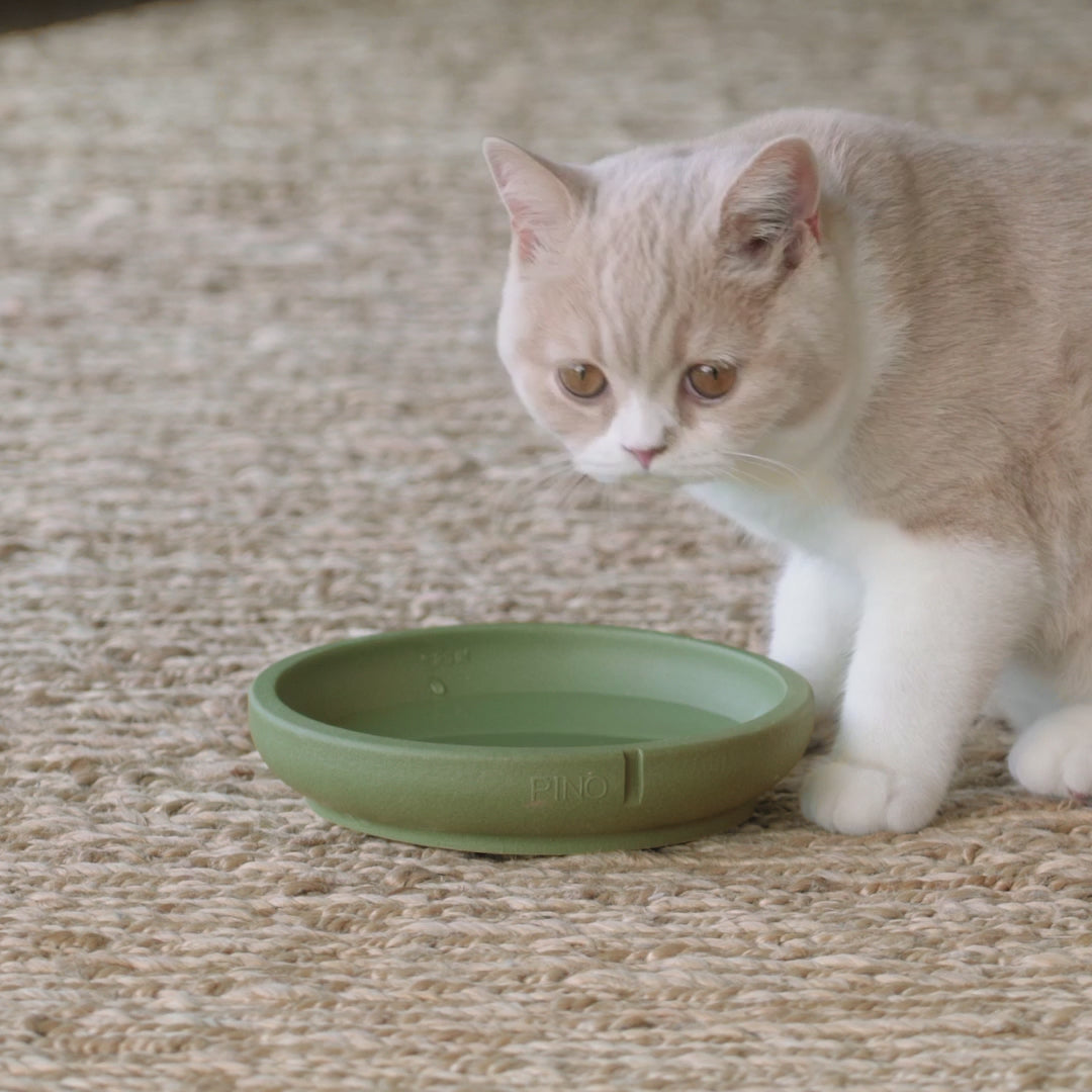 Gamelles pour le Confort des Moustaches I PINO I Fabriqué en Belgique.