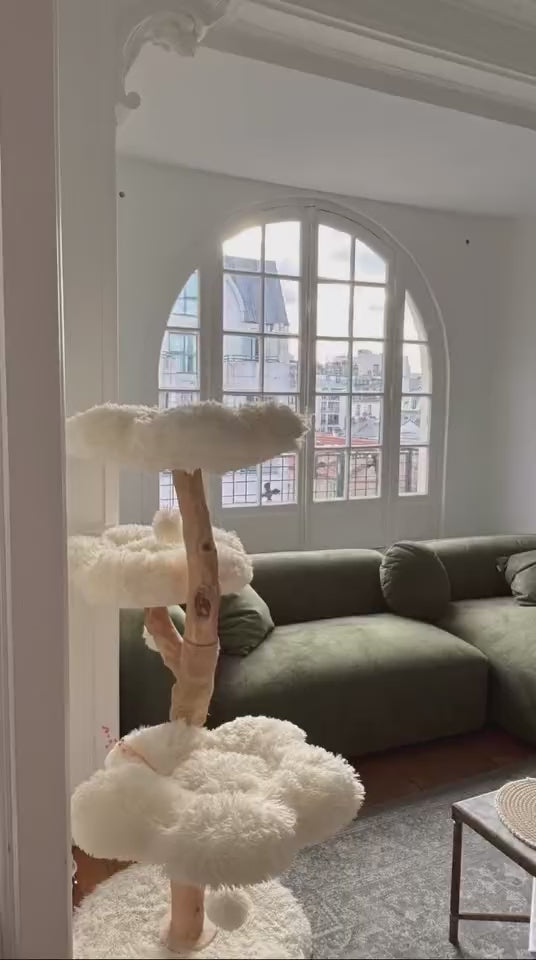 Arbre à Chat en Bois Massif | Design Compact et Moderne 140 cm | Canopée | FéliNature.