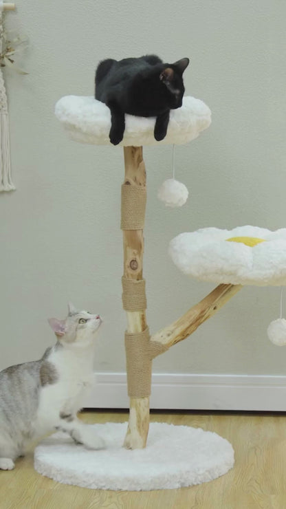 Arbre à Chat en Bois Naturel | Élégance et Confort pour Petits Félins | Numa | FéliNature