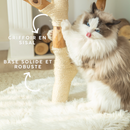 Arbre à Chat en Bois Massif | Design Naturel et Moderne 113cm | Natura | FéliNature.