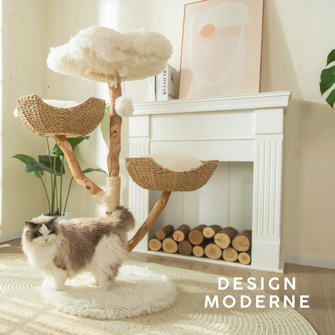 Arbre à Chat en Bois Massif | Design Naturel et Moderne 113cm | Natura | FéliNature.