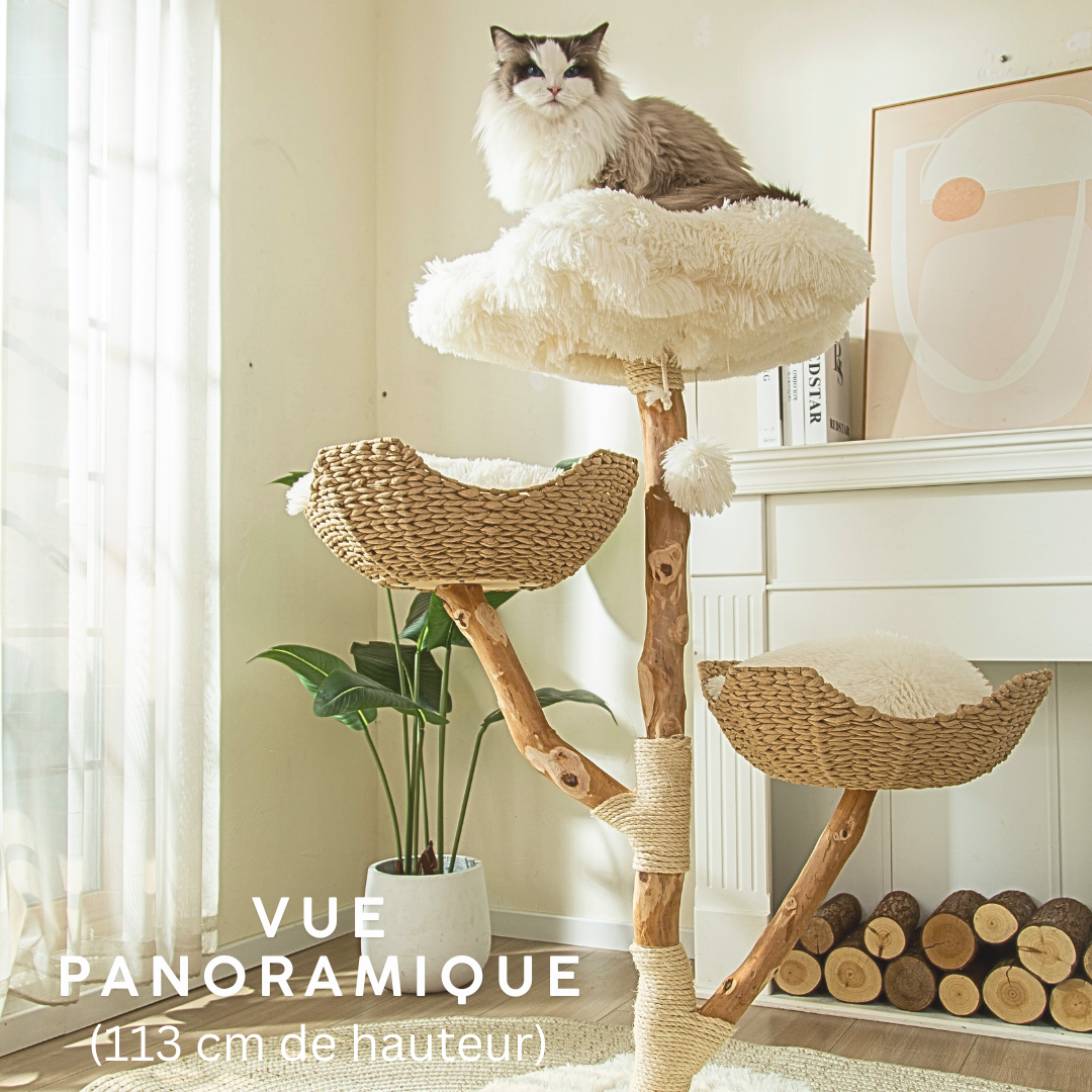 Arbre à Chat en Bois Massif | Design Naturel et Moderne 113cm | Natura | FéliNature.