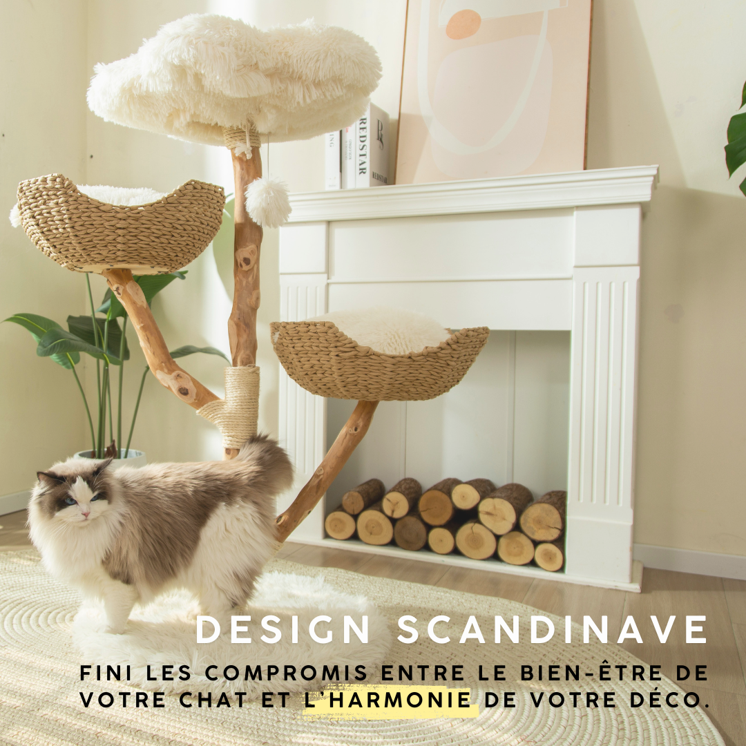 Arbre à Chat en Bois Massif | Design Naturel et Moderne 113cm | Natura | FéliNature.