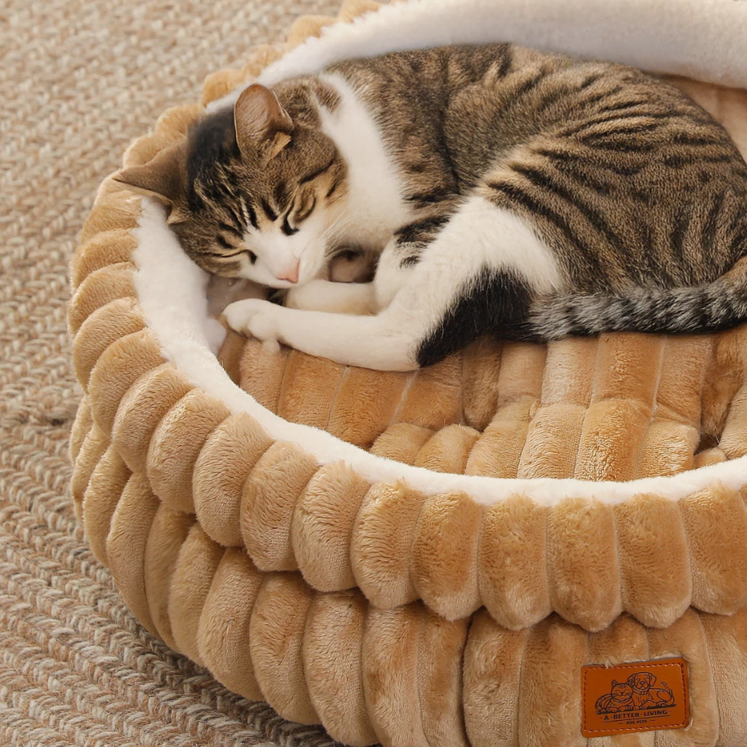 Un chat blanc et tabby dort recroquevillé dans un FéliNature Panier Chat Moelleux, un lit pour chat doux et rassurant avec des bords surélevés, reposant sur un tapis beige tissé.