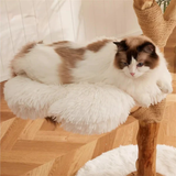 Arbre à Chat Bois | Canopée - FéliNature